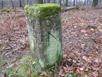 6  Saverne LE WASSERWALD 05 03 2017 48